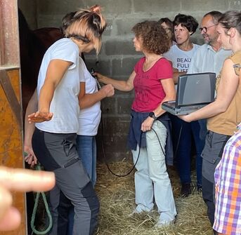 Des Formations pour Vétérinaires et Éleveurs