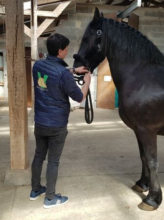 5f8b61d2 2a5b 4bda B9ec 436661abeec2